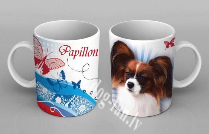 papillon copy